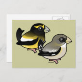 Abend Grosbeak Postkarte (Vorne/Hinten)