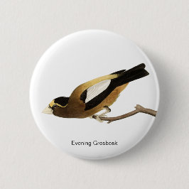Abend Grosbeak von John James Audubon, Finch Bird Button