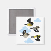 Abend Grosbeaks im Flug Magnet (Vorderseite/Rückseite)