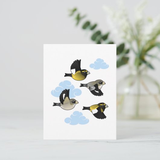Abend Grosbeaks im Flug Postkarte (Stehend Vorderseite)