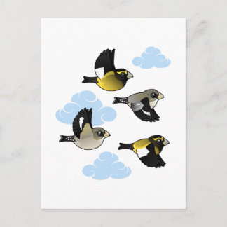 Abend Grosbeaks im Flug Postkarte