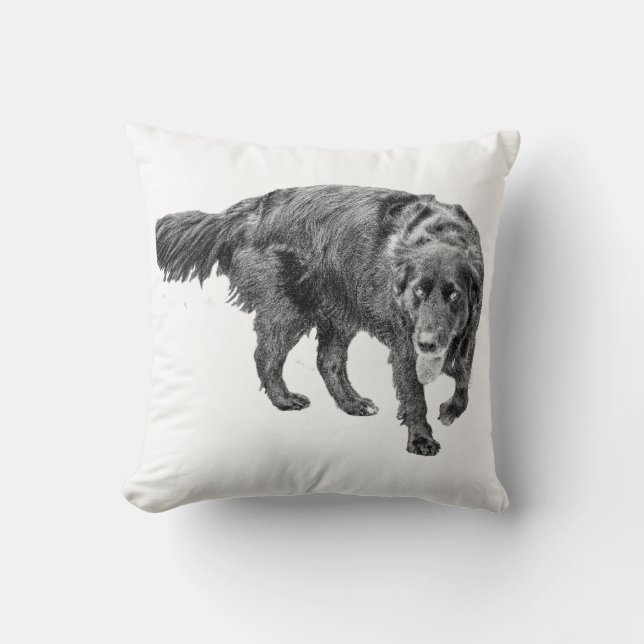 Abend Guardian Comfort Kissen (Vorderseite)
