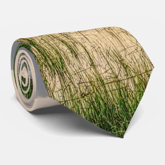 Abend im Hafen Charleston Neck Tie Krawatte (Gerollt)