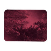 Abend im Winter... Magnet (Horizontal)