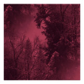 Abend im Winter... Poster (Vorderseite)