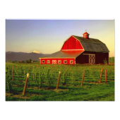 Abend in einer Scheune im Washingtoner Skagit Fotodruck (Vorne)