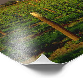 Abend in einer Scheune im Washingtoner Skagit Fotodruck (Ecke)