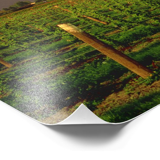 Abend in einer Scheune im Washingtoner Skagit Fotodruck (Ecke)