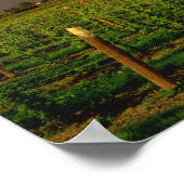 Abend in einer Scheune im Washingtoner Skagit Poster (Ecke)