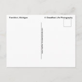 Abend in Frankfort Lighthouse Postkarte (Rückseite)