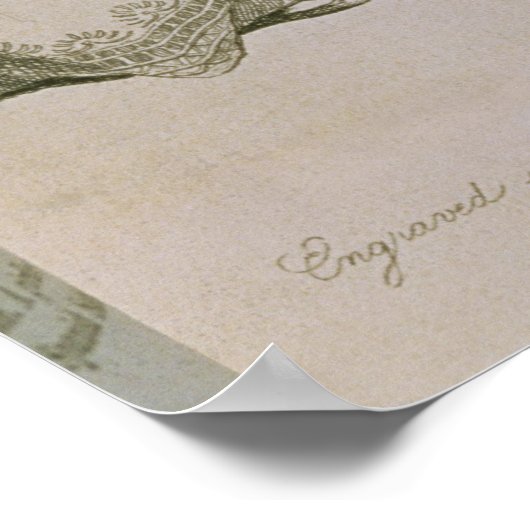 Abend-Kleider Poster (Ecke)