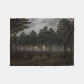 Abend Landscape (von Caspar David Friedrich) Fleecedecke (Vorderseite (Horizontal))