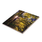 Abend Light Fliese (Seite)