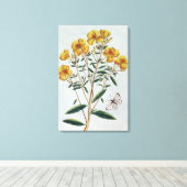 Abend Primrose, Platte 73 von "Collection Precie Leinwanddruck (Insitu (Holzboden))