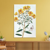 Abend Primrose, Platte 73 von "Collection Precie Leinwanddruck (Insitu (Wohnzimmer))