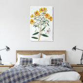 Abend Primrose, Platte 73 von "Collection Precie Leinwanddruck (Insitu (Schlafzimmer))