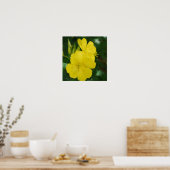 Abend Primrose Poster (Küche)