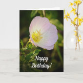 Abend Primrose Wildblume Geburtstagskarte Karte (Gelbe Blume)