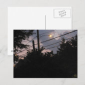 Abend-Silhouetten Postkarte (Vorne/Hinten)