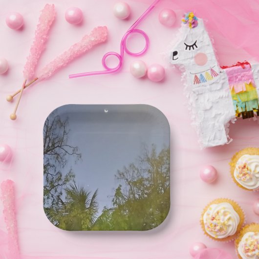 Abend Sky Crescent Moon Foto Pappteller (Party)