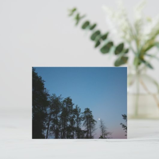 Abend Sky Over Elk Lake, Michigan Postkarte (Stehend Vorderseite)