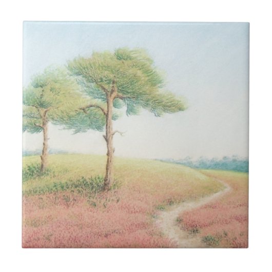 Abend Sun, neue Waldkiefern-Baum-Keramik-Fliese Fliese (Vorderseite)