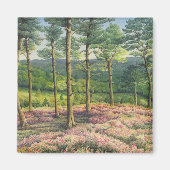 Abend Sun, Surrey Hills Pines in Pastel Magnet (Vorne)