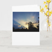 Abenddämmerung, Karte (Gelbe Blume)