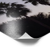 Abenddämmerung mit tropischen Palmen Fotodruck (Ecke)