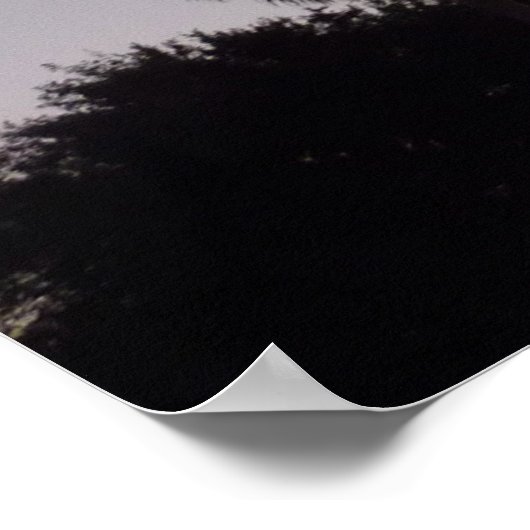 Abenddämmerung mit tropischen Palmen Poster (Ecke)