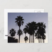 Abenddämmerung mit tropischen Palmen Postkarte (Vorne/Hinten)