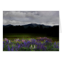 Abenddämmerung über die Franken