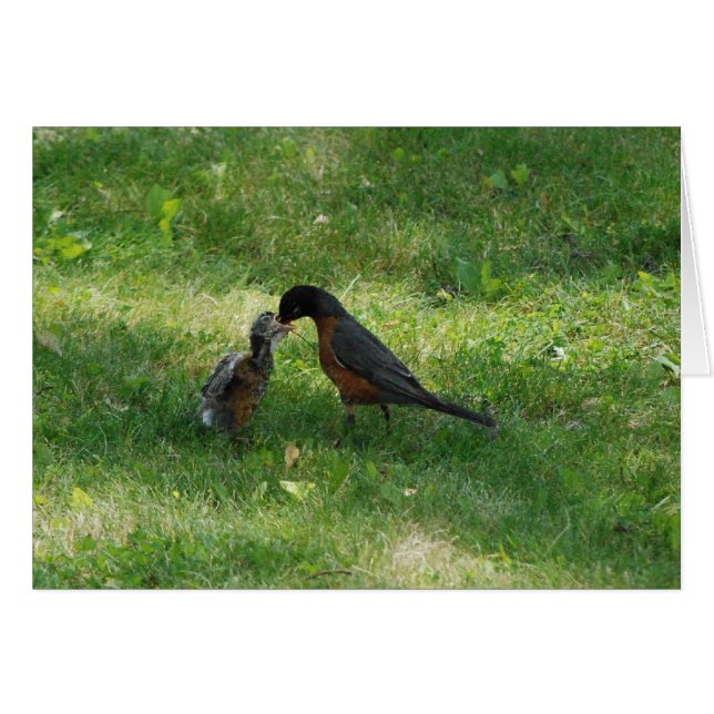 Abendessen! (Vorderseite (Horizontal))