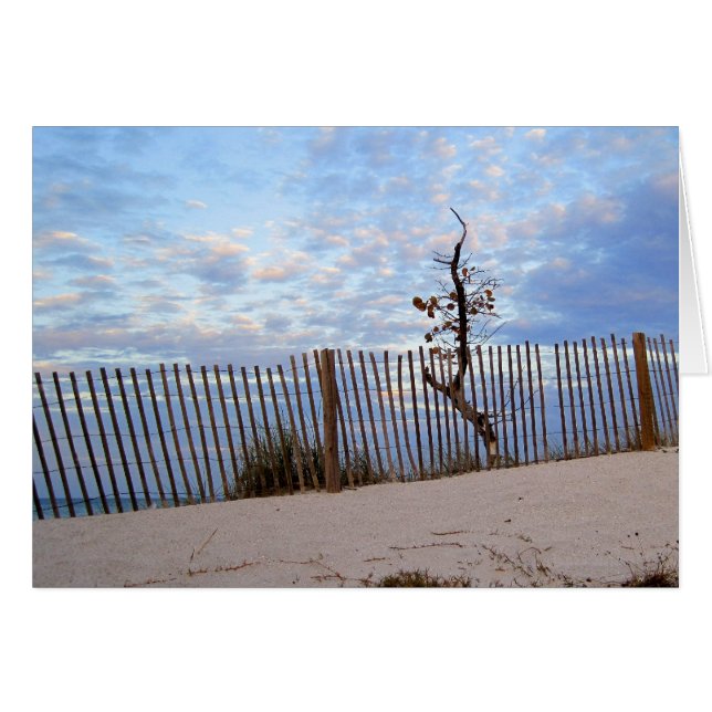 Abendessen am Jupiter Beach (Vorderseite (Horizontal))