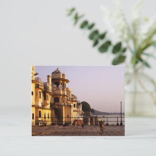 Abendessen bei Ganghaur Ghat, Udaipur, Rajasthan,  Postkarte (Stehend Vorderseite)