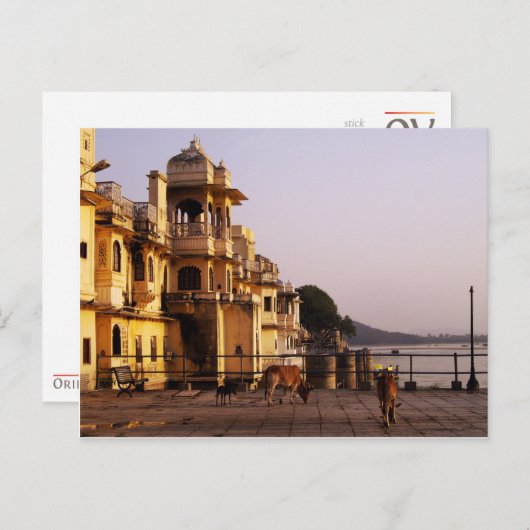 Abendessen bei Ganghaur Ghat, Udaipur, Rajasthan,  Postkarte (Vorne/Hinten)