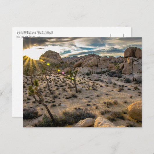 Abendessen bei Joshua Tree NP Postcard Postkarte (Vorne/Hinten)