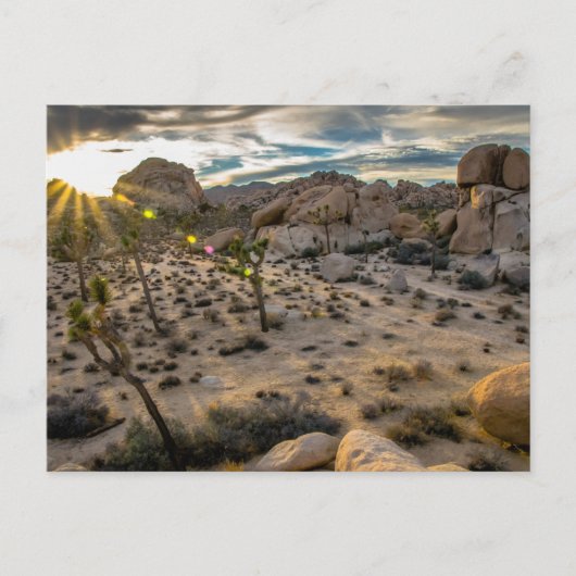 Abendessen bei Joshua Tree NP Postcard Postkarte (Vorderseite)