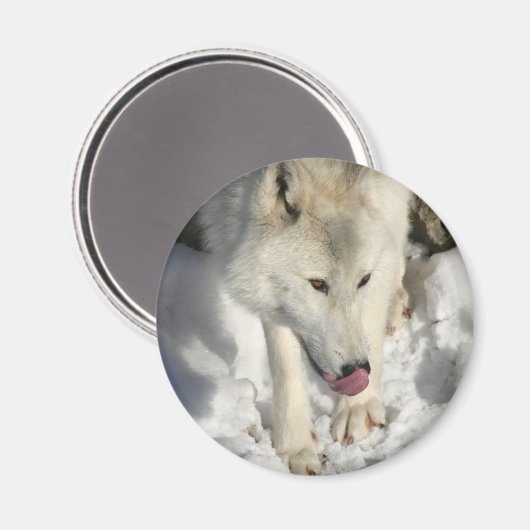 Abendessen Magnet (Vorderseite/Rückseite)