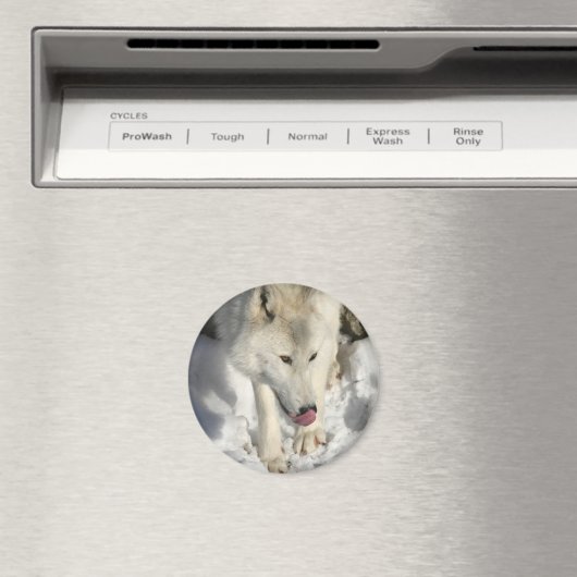 Abendessen Magnet (In Situ (Geschirrspüler))