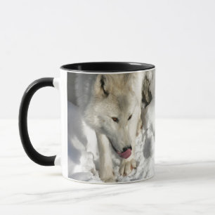 Abendessen Tasse