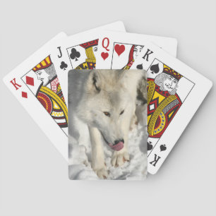 Abendessen-Zeit Spielkarten