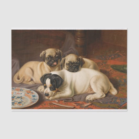 Abendessen, Zwei Mops und ein Terrier von Horatio  Seidenpapier (Vorderseite)