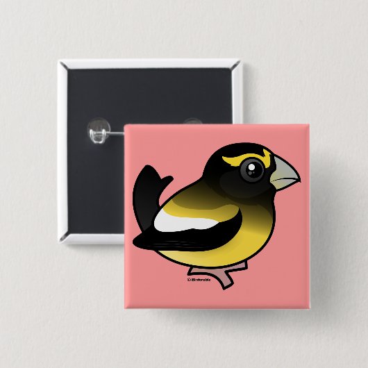 AbendGrosbeak Button (Vorne & Hinten)