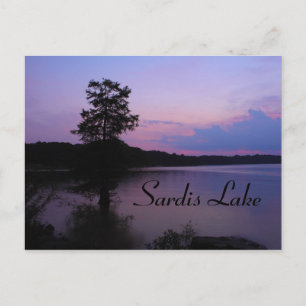 Abendlicht am Sardis Lake Mississippi Postkarte