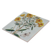 Abends-Primel, überziehen 73 'von der Sammlung Fliese (Seite)