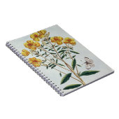 Abends-Primel, überziehen 73 'von der Sammlung Notizblock (Rechte Seite)