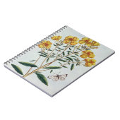 Abends-Primel, überziehen 73 'von der Sammlung Notizblock (Linke Seite)