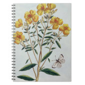 Abends-Primel, überziehen 73 'von der Sammlung Notizblock (Vorderseite)