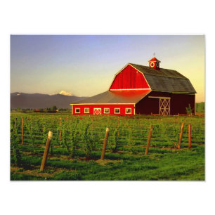 Abendsonne auf einer Scheune in Washingtons Skagit Fotodruck